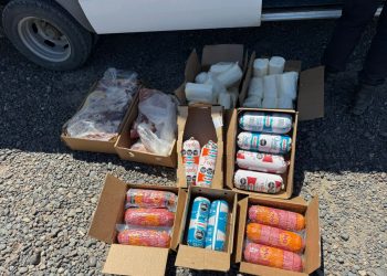 CHOELE CHOEL: Controles entre Seguridad Vial y SENASA derivaron en decomisos de productos cárnicos