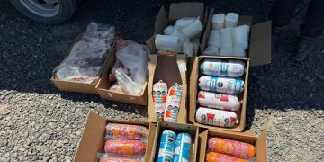 CHOELE CHOEL: Controles entre Seguridad Vial y SENASA derivaron en decomisos de productos cárnicos