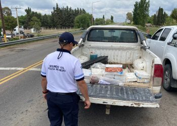 POMONA: Decomisan langostinos y pescado por incumplir medidas sanitarias