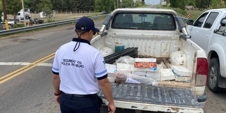 POMONA: Decomisan langostinos y pescado por incumplir medidas sanitarias