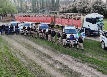 CHIMPAY: Macro operativo por presunto abuso de armas y ganado de dudosa procedencia