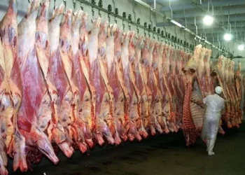 EEUU confirma que comprará poca carne argentina y alerta por la fiebre aftosa