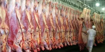 EEUU confirma que comprará poca carne argentina y alerta por la fiebre aftosa