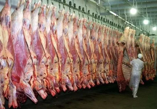 EEUU confirma que comprará poca carne argentina y alerta por la fiebre aftosa