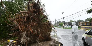Devastadoras imágenes del paso del huracán Melissa por Jamaica
