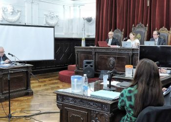 BAHIA BLANCA: Condenan a 14 años de prisión a Leguizamo por atropellar y matar a Sandra Romero