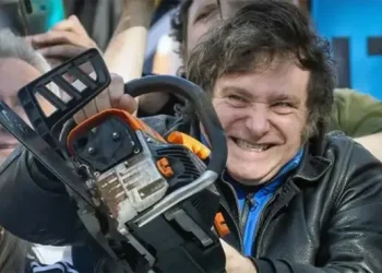 Milei suspendió la aplicación de las leyes de financiamiento universitario y de emergencia pediátrica