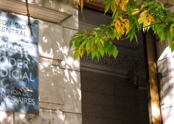 BAHIA BLANCA: Condenan a 4 años de prisión a dos hombres por matar y faenar tres ciervos en un campo de Pringles