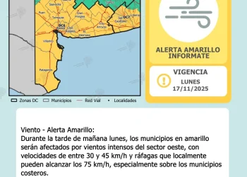 BAHIA BLANCA: Alerta amarilla por fuertes vientos emitida por el Servicio Meteorológico Nacional para Bahía Blanca y la zona