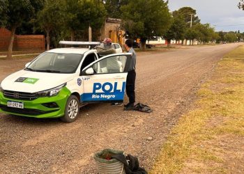 CHIMPAY: Rápido accionar policial y del MPF permitió detener a sujeto que hurtaba cerezas