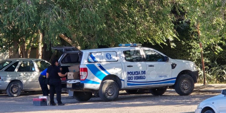 CHOELE CHOEL: Un hombre de 55 años de edad resultó herido de arma blanca en un hecho que esta siendo investigando  El presunto agresor sería un hombre de 35 años de edad quien, previo a causarle la lesión cortopunzante en la zona lateral del cuerpo, habría agredido a la víctima con golpes aplicados con un elemento contundente, siempre de acuerdo a información recabada en el lugar.