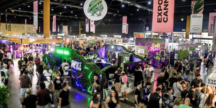 Monte Hermoso se prepara para una nueva edición de Monte Cannabis Salud  El municipio de Monte Hermoso se prepara para recibir este fin de semana una nueva edición de Monte Cannabis Salud. Entérate todos los detalles.