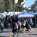 BAHIA BLANCA: 8 ferias en espacios públicos para recorrer el fin de semana largo