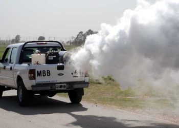 BAHIA BLANCA: Trabajos de fumigación