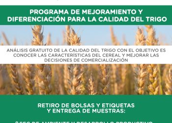 TORNQUIST: Abierta la convocatoria al programa de mejoramiento y diferenciación para la calidad del Trigo
