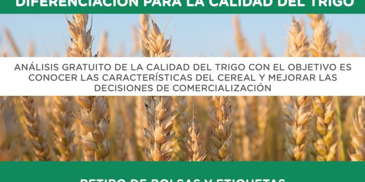 TORNQUIST: Abierta la convocatoria al programa de mejoramiento y diferenciación para la calidad del Trigo La Secretaría de Ambiente y Desarrollo Productivo de Tornquist Municipio, informa que se encuentra abierta la convocatoria al programa de mejoramiento y diferenciación para la calidad del trigo.