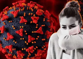 La ANLIS Malbrán detectó tres casos de influenza A (H3N2) subclado K en Argentina