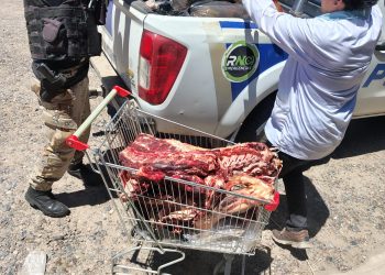 CHOELE CHOEL – LUIS BELTRAN – LAMARQUE – CHIMPAY: DECOMISAN UNOS 2500 KILOS DE CARNE EN CARNICERIAS DE VALLE MEDIO