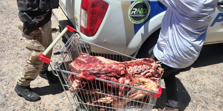 CHOELE CHOEL – LUIS BELTRAN – LAMARQUE – CHIMPAY: DECOMISAN UNOS 2500 KILOS DE CARNE EN CARNICERIAS DE VALLE MEDIO En un trabajo conjunto entre personal de la Brigada Rural del Valle Medio e inspectores de la Dirección de Ganadería de Río Negro, se procedió al decomiso de 2.430 kilos de carne de distintas especies – vacuna, porcina y ovina – por no reunir las condiciones necesarias de salubridad e higiene para su comercialización.