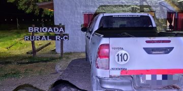 RIO COLORADO: Secuestran jabalíes a cazadores por carecer de permisos