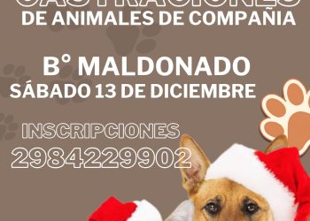 CHOELE CHOEL: Última jornada de castraciones gratuitas del año en el barrio Maldonado
