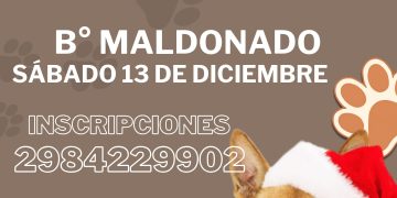 CHOELE CHOEL: Última jornada de castraciones gratuitas del año en el barrio Maldonado