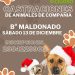 CHOELE CHOEL: Última jornada de castraciones gratuitas del año en el barrio Maldonado