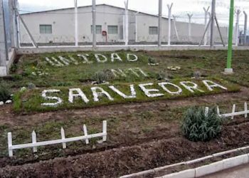 Allanan la cárcel de Saavedra, el Penal de Bahía Blanca y una vivienda por una extorsión