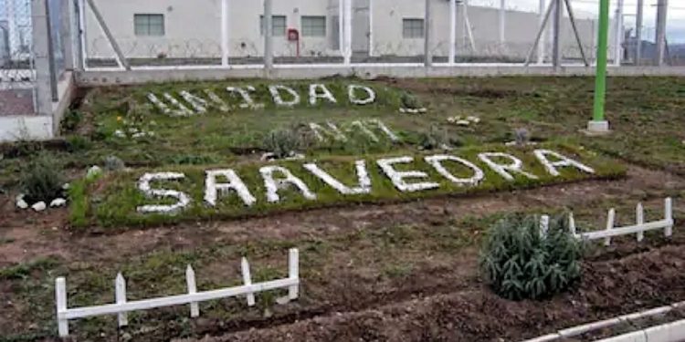 Allanan la cárcel de Saavedra, el Penal de Bahía Blanca y una vivienda por una extorsión En el marco de una investigación realizada por la UFIJ N.º 20, a cargo del fiscal Rodolfo De Lucia, el Juzgado de Garantías N.º 3 ordenó un allanamiento en la Unidad Penitenciaria N.º 19 de Saavedra donde se encuentran alojados dos internos, la Unidad Penitenciaria N.º 4 de Bahía Blanca en relación a otro preso y un domicilio ubicado en Güiraldes al 2600 en el que vive una mujer, por estar vinculados con una extorsión con fotos íntimas.