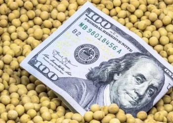 El Gobierno anunció una nueva baja de retenciones a los granos: la soja pasará del 26% al 24%