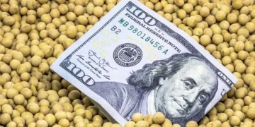 El Gobierno anunció una nueva baja de retenciones a los granos: la soja pasará del 26% al 24%