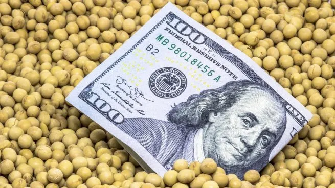 El Gobierno anunció una nueva baja de retenciones a los granos: la soja pasará del 26% al 24% La medida recorta los derechos de exportación de soja, trigo, maíz y otros cultivos. El ministro Luis Caputo afirmó que el campo es clave para el ingreso de divisas y que el objetivo de largo plazo es eliminar por completo los impuestos al comercio exterior.