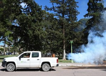 BAHIA BLANCA: Programa de fumigación