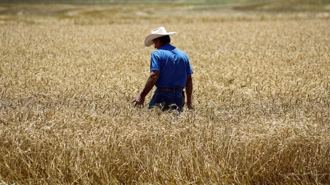 El Gobierno oficializó la baja de retenciones: cómo quedaron las alícuotas para la soja, el maíz y el trigo A través del Decreto 877/2025, la administración de Javier Milei fijó nuevas alícuotas más bajas para la soja, el maíz, el trigo, la cebada, el sorgo y el girasol. Para la soja, implica el nivel más bajo de los últimos 19 años.
