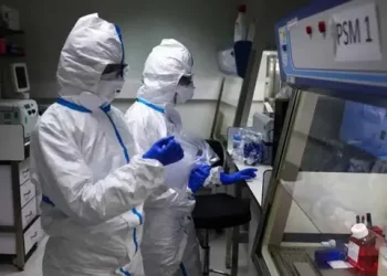 Alerta por la «supergripe» H3N2: Chile confirmó la variante y Argentina sigue de cerca posibles casos