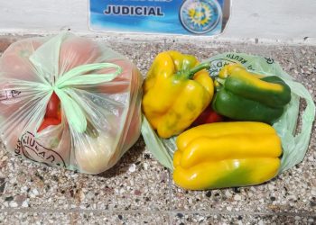 Lamarque: Demoran a una mujer por un hurto en una verdulería