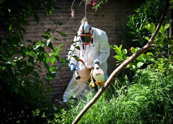 BAHIA BLANCA: Prevención de dengue en Villa Delfina