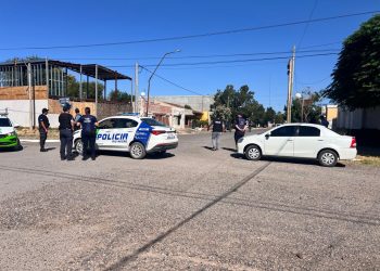 LAMARQUE: Allanamientos múltiples derivan en secuestro de armas, cannabis y animales protegidos