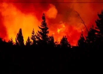 Incendios en Chubut: peritos hallaron restos de combustible y refuerzan la hipótesis de intencionalidad
