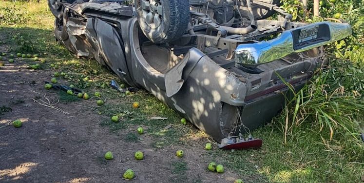 CHOELE CHOEL: Falleció un joven de Choele Choel en accidente de tránsito ocurrido en la ruta nacional 250, en el kilómetro 275 Un accidente de tránsito ocurrido en las primeras horas de éste domingo - pasadas las 7,30 - en la ruta nacional 250, en el kilómetro 275, trajo aparejado el deceso de un jóven de 21 años de edad.