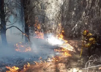 Por los incendios, gobernadores patagónicos reclamaron al Congreso que apruebe una ley de Emergencia Ígnea
