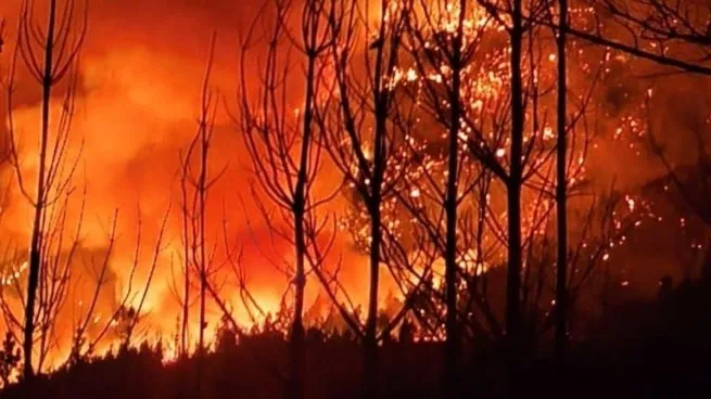 Incendios en Chubut: cortaron la ruta 40 por el avance del fuego y hay más de 3.000 evacuados La decisión fue de Vialidad Nacional y aplica para la zona entre El Hoyo y Epuyén. Estiman que el número de evacuados aumente a la par del de animales muertos.