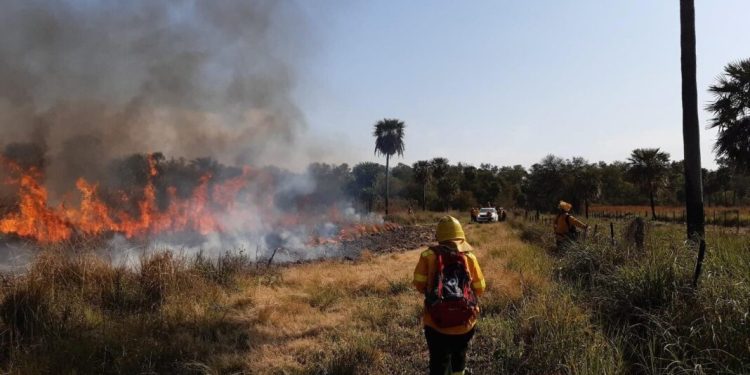 Incendios: el sur bonaerense, entre las zonas más comprometidas del país El SNMF y el SMN declararon un “riesgo extremo de incendios” en gran parte del territorio argentino, incluyendo a la provincia de Buenos Aires.