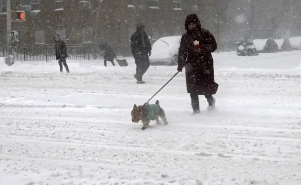 Al menos 21 muertes por la tormenta de nieve en Estados Unidos: avanza el vórtice polar