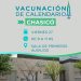 CHASICO: Viernes 27 Jornada de vacunación de calendario