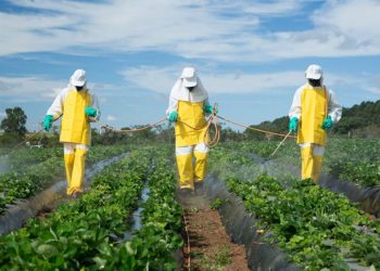El Consejo Profesional de Química advierte por impactos y vacíos legales sobre los agroquímicos