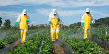 El Consejo Profesional de Química advierte por impactos y vacíos legales sobre los agroquímicos