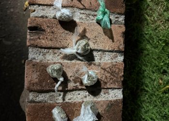 CHOELE CHOEL: Secuestran marihuana en control preventivo en el acceso a Isla 92