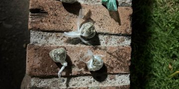 CHOELE CHOEL: Secuestran marihuana en control preventivo en el acceso a Isla 92