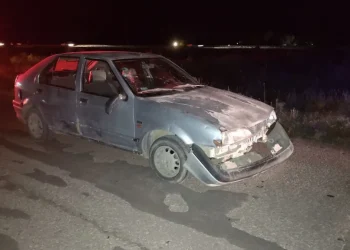 BAHIA BLANCA: UN AUTOMOVILISTA EMBISTIÓ A DOS PEATONES